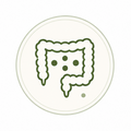 Probiotic Blend