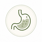 Digestive enzyme complex