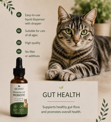 Qexavo™ Indoor Cat Probiotic Drops