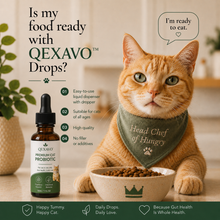 Qexavo™ Indoor Cat Probiotic Drops