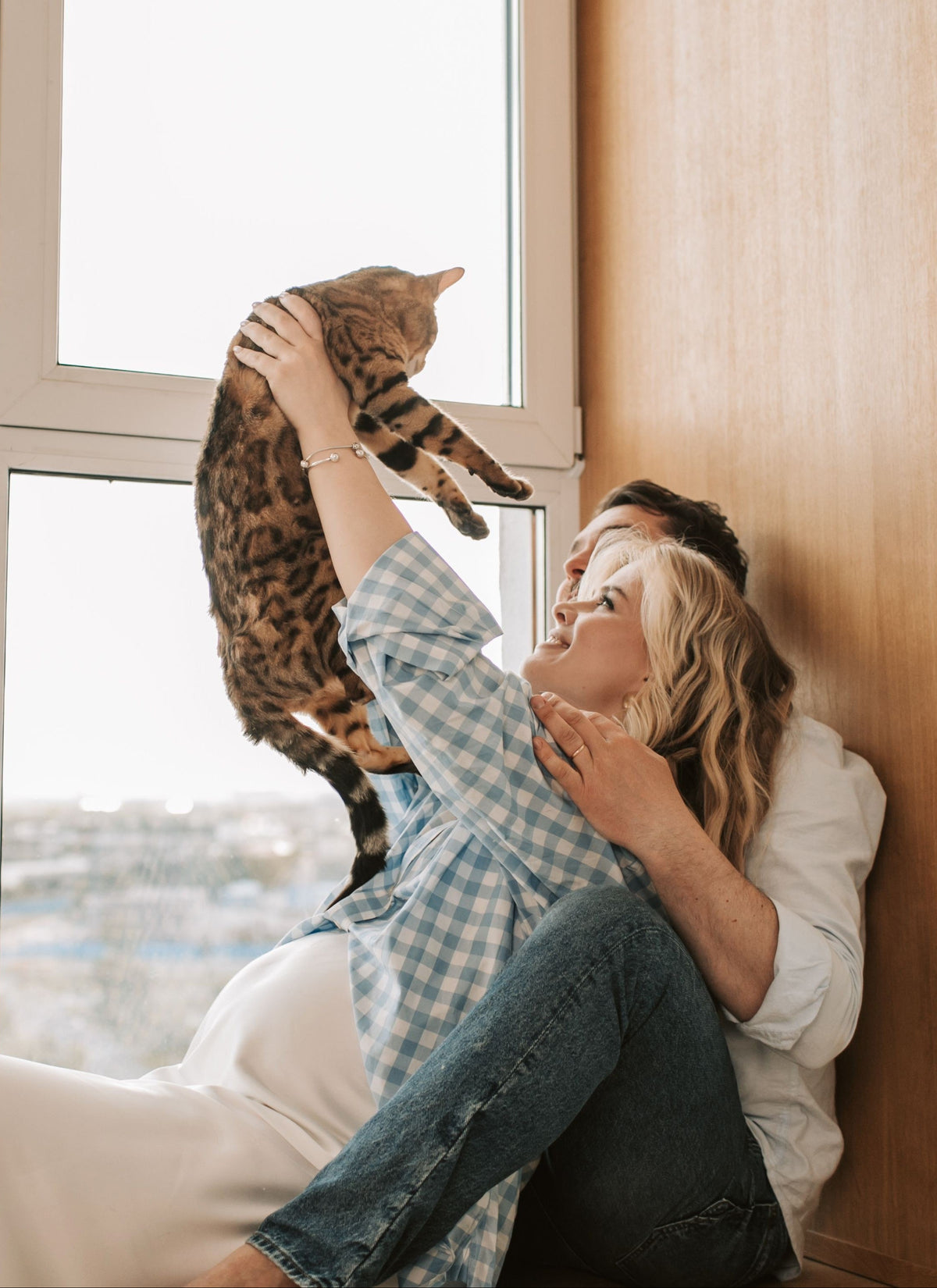 Happy indoor cat in a bright home
